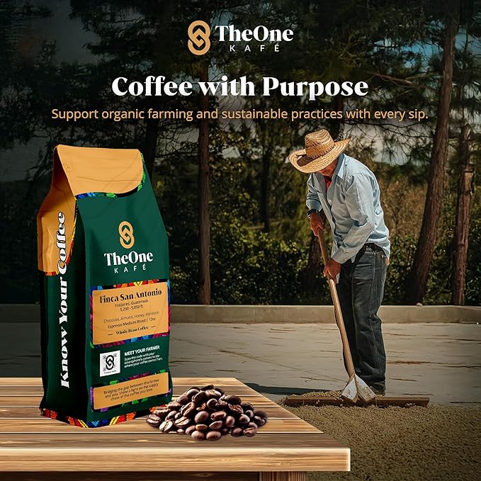 TheOne Kafé Guatemala Medium Roast Whole Bean Coffee ??Organic, Single Origin, Premium Specialty Coffee and Ethically Sourced ??Fresh Roasted for Espresso, Drip, Pour Over ??12 oz (Pack of 2)