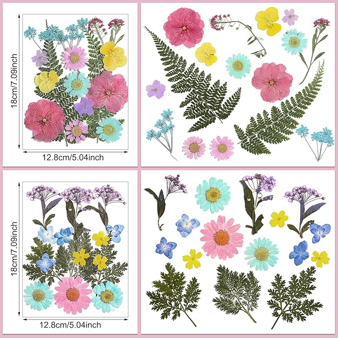 Nuanchu Pressed Flowers Bulk Dried Flower for Crafts, Dried Wildflowers Leave Natural with Tweezer for Resin Mold Scrapbooking Nail Soap Making DIY(Pastel Style,Pastel Color)