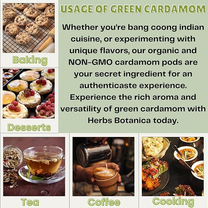 Herbs Botanica Green Cardamom Pods Whole 7-8mm size Elaichi for Culinary Delights and Aromatic Infusions Handpicked Fresh Fragnant and Flavorful Perfect for Cooking, Baking, and Brewing 100g / 3.5 oz