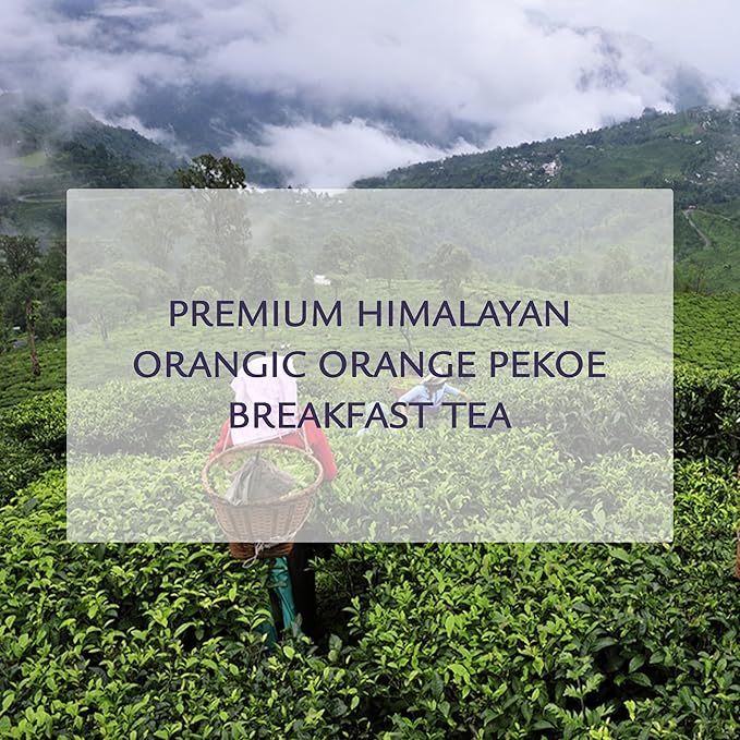 Birdsong Rufous Pekoe -Organic East Indian Orange Pekoe Tea with Malt, Spice and Wood Notes, 100% Natural Sweet Caffeinated English Breakfast Black Tea, 20 Non-GMO Plant-Based Pyramid Tea Bags