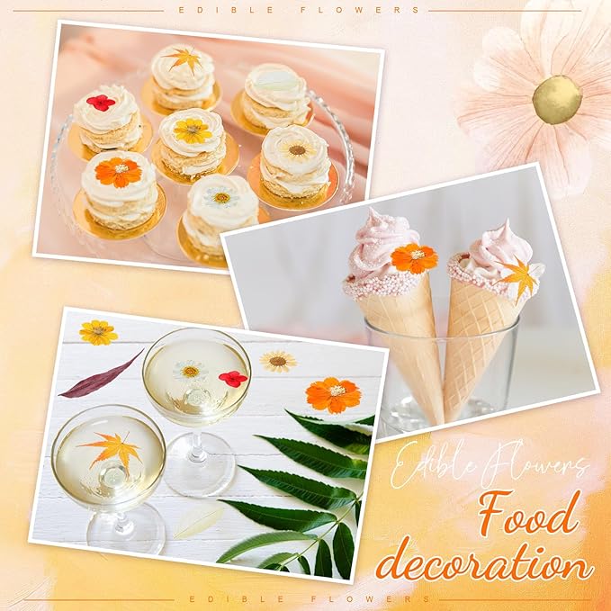 96 Pcs Fall Natural Dried Pressed Flowers for Cake Topper Decorating Cupcake Toppers Cocktails Resin Jewelry Making DIY Art Crafts