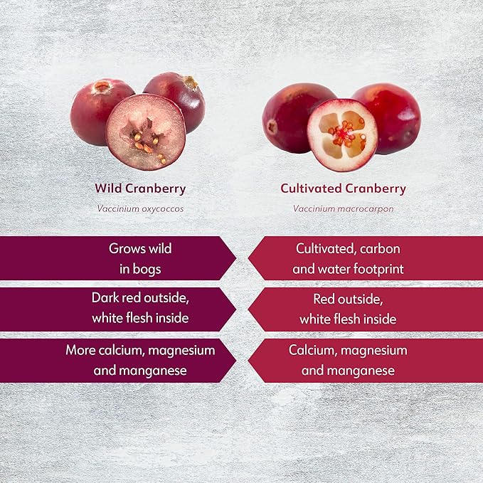 Wild Organic Freeze Dried Cranberry Powder, 3.2 Oz, 18-Day Supply, from Nordic Forests, Raw, No Added Sugar
