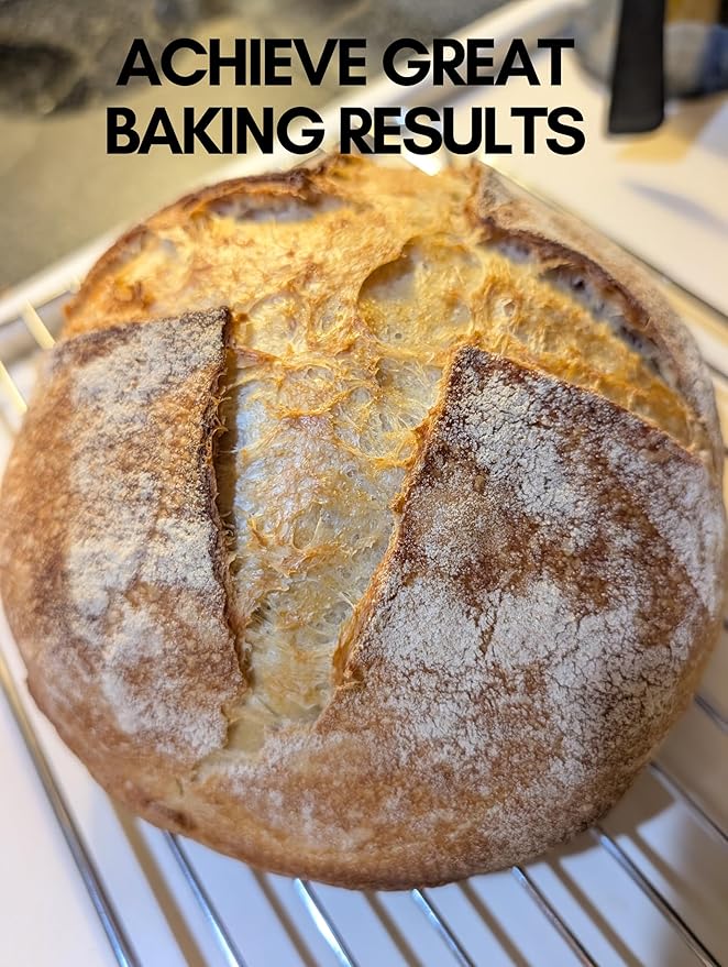 Dehydrated Sourdough Starter Culture | New England Sourdough Starter Co. | 6 Easy Steps to Your Own Established Starter In As Soon As 3 days! | Wicked Strong & Healthy Starter