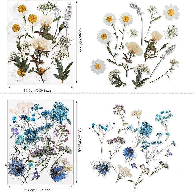 Nuanchu Pressed Flowers Bulk Dried Flower for Crafts, Dried Wildflowers Leave Natural with Tweezer for Resin Mold Scrapbooking Nail Soap Making DIY(Trendy Style,Blend Color)