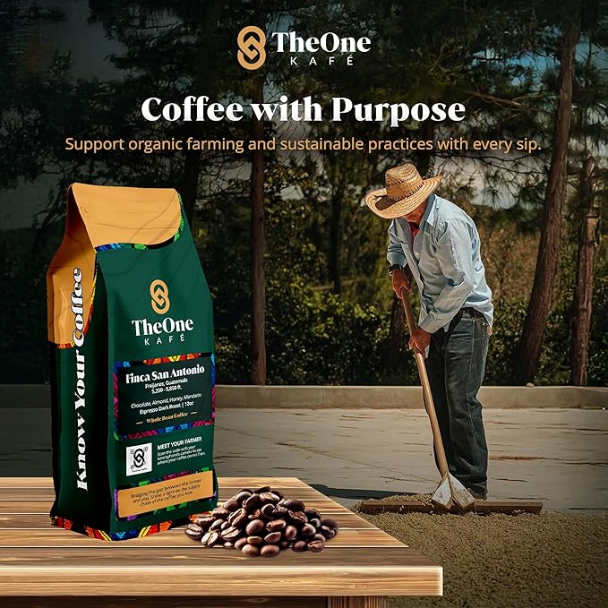 TheOne Kafé Guatemala Dark Roast Whole Bean Coffee ??Organic, Single Origin, Premium Specialty Coffee, Ethically Sourced, Smooth & Rich Flavor ??Fresh Roasted for Espresso, Drip, Pour Over ??12 oz