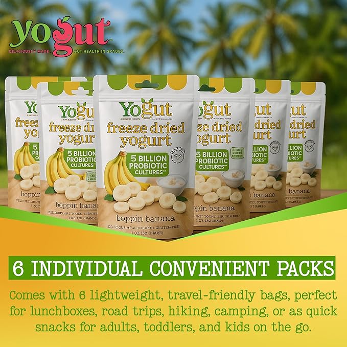 YoGut Freeze Dried Yogurt Snack, Banana, 6 Pk, Healthy Snacks for Kids, Toddlers & Adults, Gluten Free, Non GMO, With 5 Billion Live Probiotics, Vitamins & Minerals, Individual Snack Packs