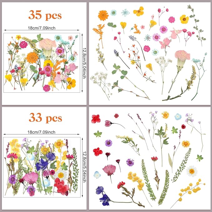Nuanchu Pressed Flowers Bulk Dried Flower for Crafts, Dried Wildflowers Leave Natural with Tweezer for Resin Mold Scrapbooking Nail Soap Making DIY(Mini Style,Vibrant Color)