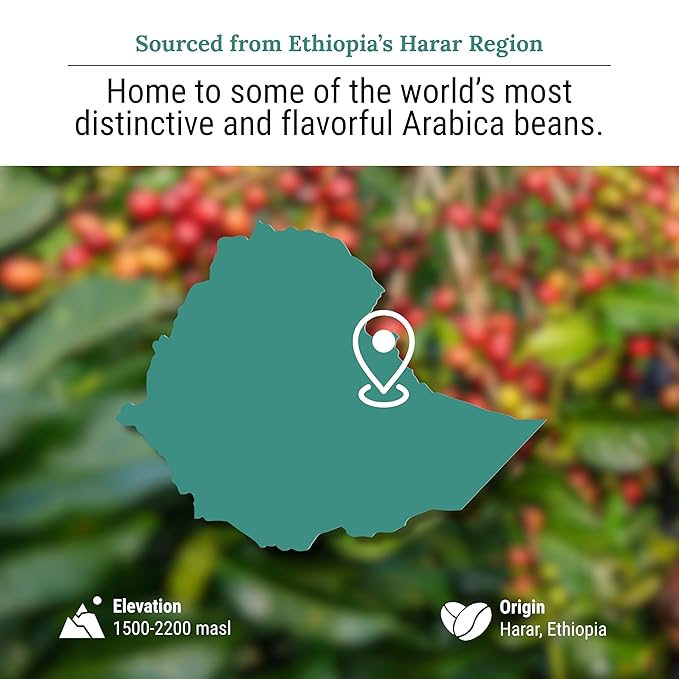 Mokka Velvet Ethiopian Coffee Ground - Organically Grown Dark Roast Coffee Ground, Single Origin, Ground Coffee, 100% Ethiopian Harar Arabica Coffee, Resealable Bag 454g.
