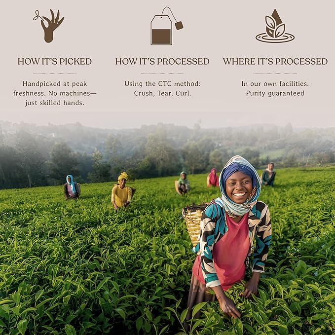 Akina Single-Origin Regular Black Tea Bags | 100% Naturally Flavored, Kenyan Origin, Gourmet Tea, Hot Beverage (100 String & Tag Bags, 200g)