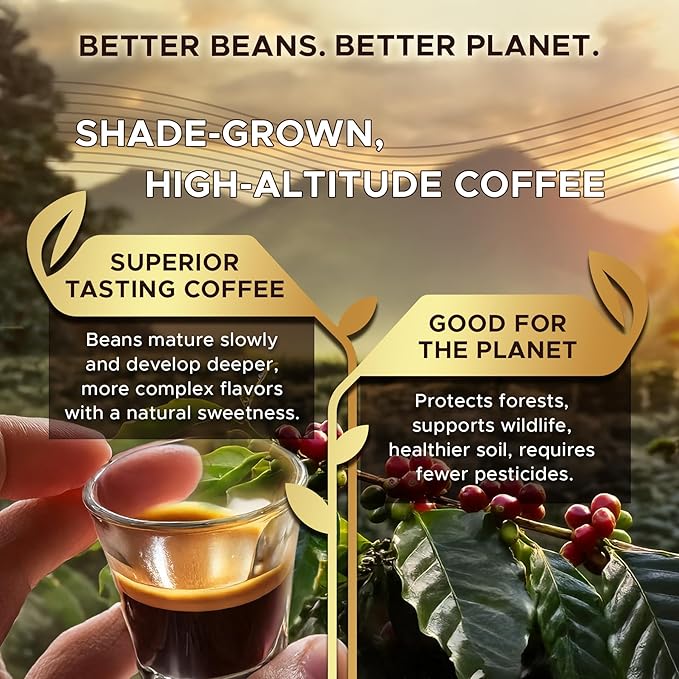 Coffeeza Variety Pack Flavoured – 60 Coffee Capsules (Pack of 6) – Original Line compatible – Specialty Indian Arabica Coffee – Recyclable Pods – Medium Roast – Flavored Espresso Pods