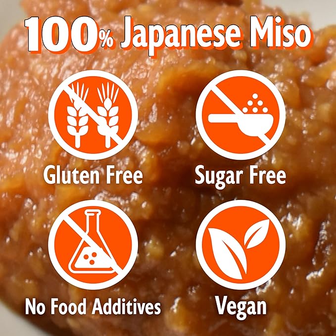 YAMASAN KYOTO UJI Japanese Dry Miso Seasoning, Freeze-Dried Miso Powder, No Additives, Vegan, Delicious Flavor for Various Foods, Made in Japan 100g(3.52oz)