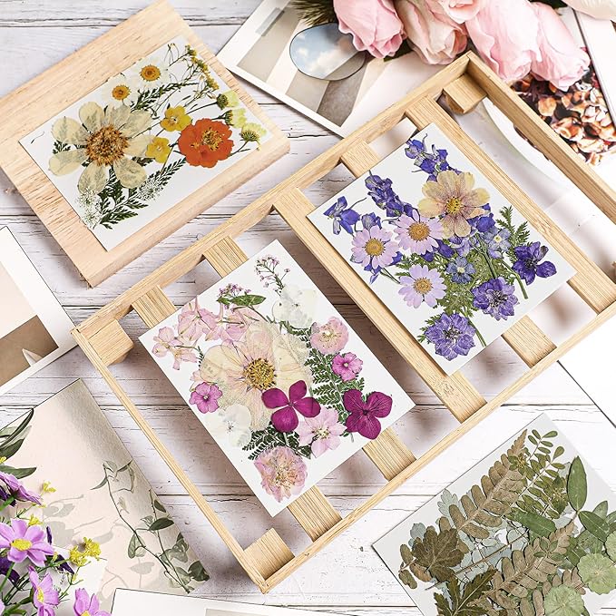 Nuanchu Pressed Flowers Bulk Dried Flower for Crafts, Dried Wildflowers Leave Natural with Tweezer for Resin Mold Scrapbooking Nail Soap Making DIY(Boho Style,Light Color)