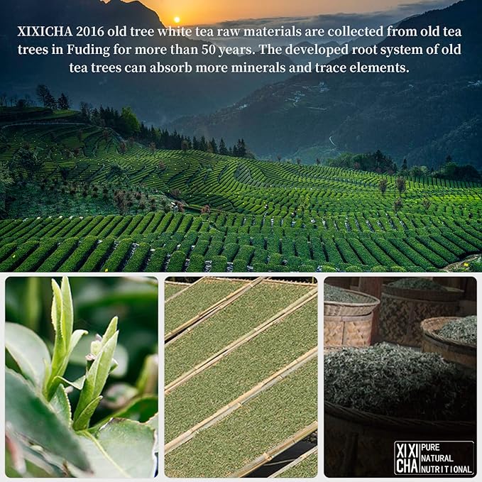 XIXICHA Aged White Tea Cake Chinese White Tea Fuding 2016 Old white tea Cake Laoshu 300g/10.6oz Premium Beautiful Gift Packaging 白茶 2016年老树白茶 福鼎老白茶饼