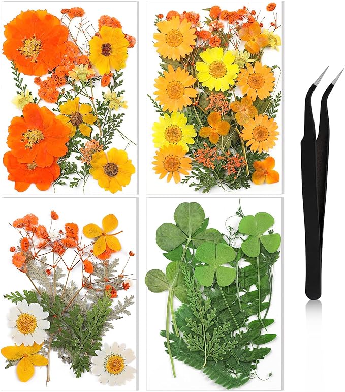 Nuanchu Pressed Flowers Bulk Dried Flower for Crafts, Dried Wildflowers Leave Natural with Tweezer for Resin Mold Scrapbooking Nail Soap Making DIY (Intense??Style,Orange Color)