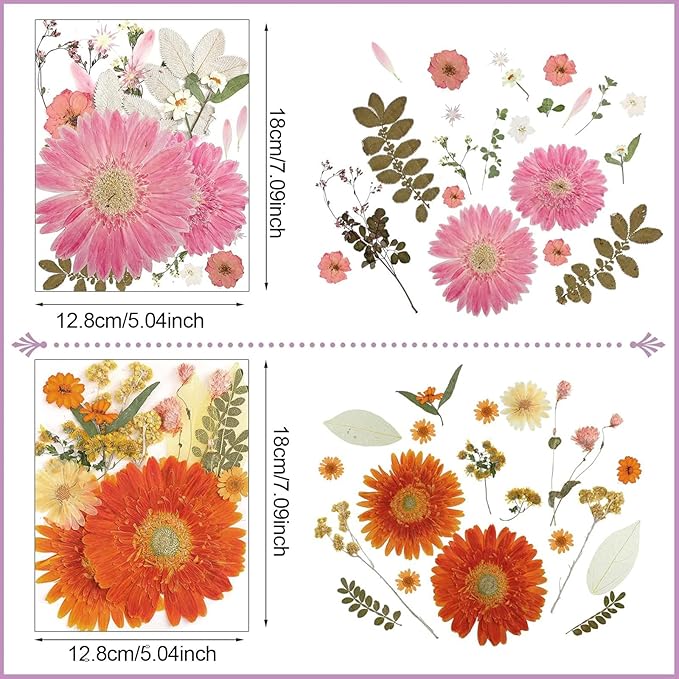 Nuanchu Pressed Flowers Bulk Dried Flower for Crafts, Dried Wildflowers Leave Natural with Tweezer for Resin Mold Scrapbooking Nail Soap Making DIY(Sweet Style,Harmony Color)