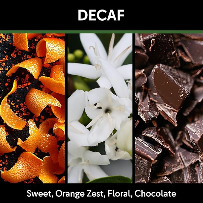 Beyond 85 Coffee High Scored Colombian Decaffeinated Coffee ??340g Whole Bean Decaf ??Smooth & Bold Flavor ??Best Whole Bean for Any Brew, Richly Floral & Chocolate Notes