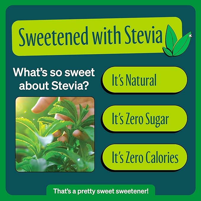 Zevia Zero Sugar Soda, Ginger Ale, 12 oz Cans (24-Pack) ??Naturally Sweetened, Non-GMO Project Verified, Gluten-Free, Vegan