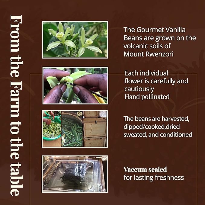 1 LB Bulk Vanilla Beans Grade A + | Vanilla Bean Pods For Making Vanilla Extract | Non-GMO | Premium Natural Vanilla beans For Baking, Cooking, Desserts | 6-8 Inches | NY Vanilla.