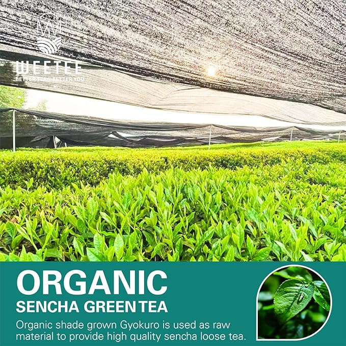 WT WEETEE Organic Sencha Green Tea, Organic Steamed Sencha Green Tea Loose Leaf, Shade Grown Gyokuro 100g/3.5oz, Smooth & Refreshing, Natural Caffeine & Antioxidant