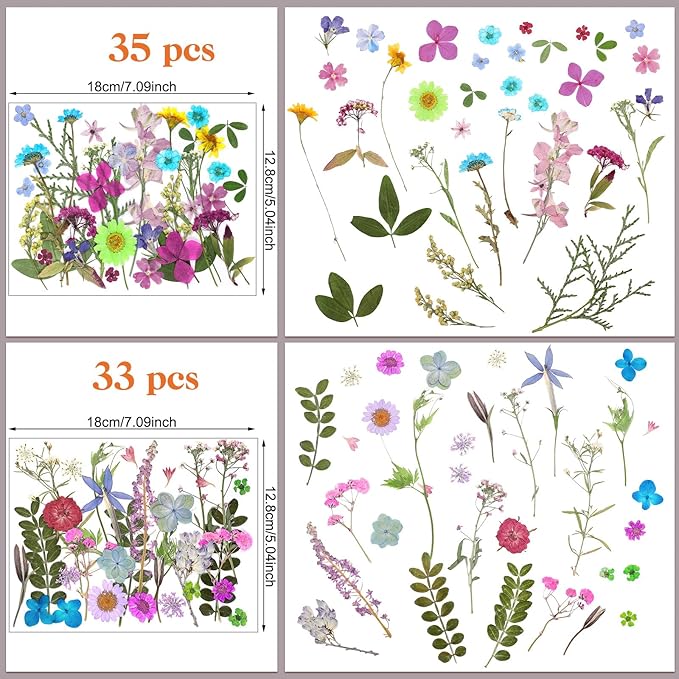 Nuanchu Pressed Flowers Bulk Dried Flower for Crafts, Dried Wildflowers Leave Natural with Tweezer for Resin Mold Scrapbooking Nail Soap Making DIY(Mini Style,Vibrant Color)