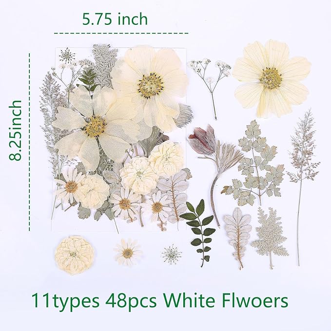 48PCS White Large Real Dried Pressed Flowers Leaves Natural Plant Herbarium for DIY Resin Mold Jewelry Making Craft (12 Styles)
