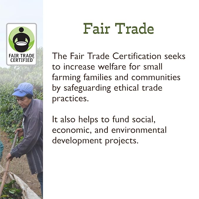 Fresh Roasted Coffee, Organic Ethiopian Sidamo | Fair Trade, USDA Organic, 100% Single Origin, Kosher | Light Roast 12 oz Whole Bean