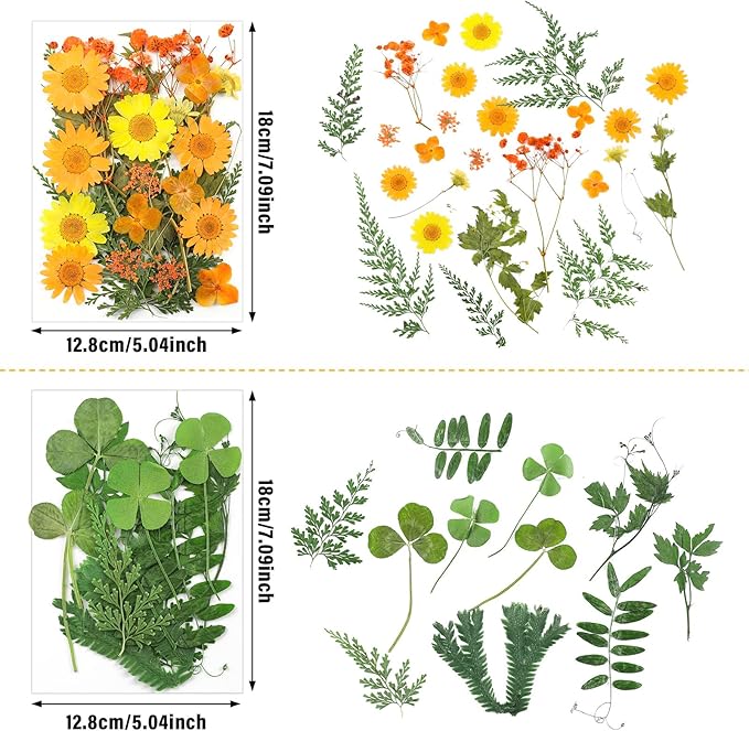 Nuanchu Pressed Flowers Bulk Dried Flower for Crafts, Dried Wildflowers Leave Natural with Tweezer for Resin Mold Scrapbooking Nail Soap Making DIY (Intense??Style,Orange Color)