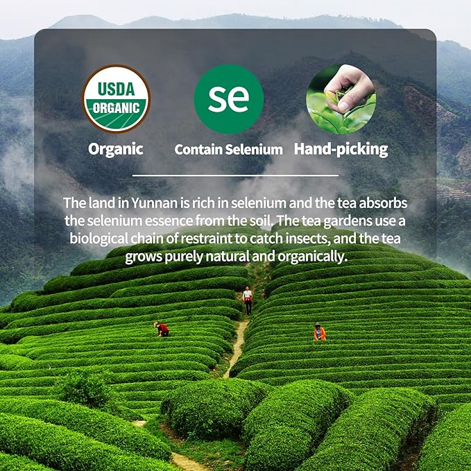 Organic Pu Erh Tea, 7.06 Oz USDA Certified Aged Fermented Organic Ripe Puerh Tea Loose Leaf Black Tea, No Dust Production Workshop, Chinese Yunnan Ancient Tree Puer Tea Perfect for Hot Brew