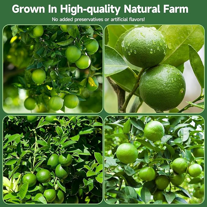 Dried Lime Slices,8.82oz/250g,Dehydrated Fruit For Cocktails,100% Natural No Additives No Sugar Added,Natural And Pure Taste,Cocktail Garnishes For Drinks,For Cake Decoration,Candle Crafts,Tea,Table Scatters , Baking Cooking
