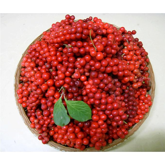 GAGOPA Dried Schisandra Berries (Omija) ??100% Korean Five Flavor Berry, Tart & Refreshing Herbal Tea Ingredient, Caffeine-Free, 100g Pack