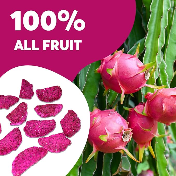 ONETANG Freeze Dried Dragon Fruit Chips (Pack of 12) for Drinks Refreshers, Healthy 1 Ingredient Superfood Snack, Crunchy Crisp, Dehydrated Dry Red Pitaya Pieces, Gluten Free Vegan 4.23 Oz
