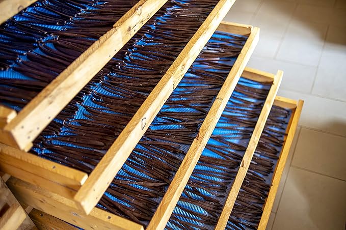 25 Split Extract Grade Intense Uganda Vanilla Beans 5-7 inches for Vanilla Extract