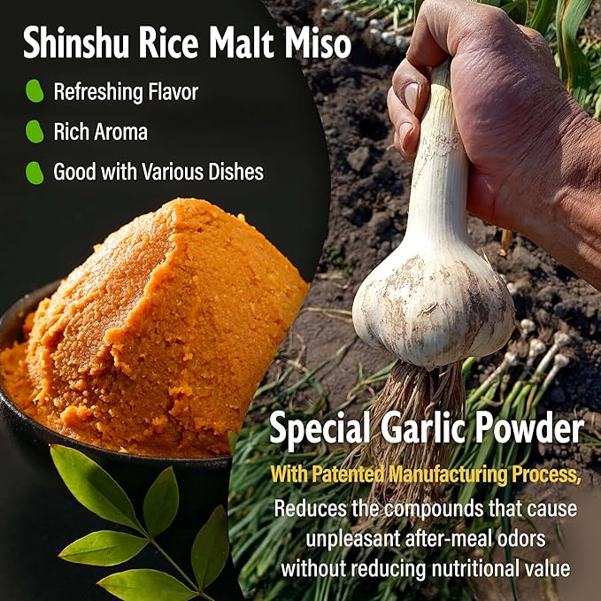 YAMASAN KYOTO UJI Japanese Dry Garlic Miso Seasoning, Freeze-Dried Miso Powder Mixed With Garlic Powder, Rich Aroma and Umami, No Additives, Vegan, Made in Japan 90g(3.17oz)