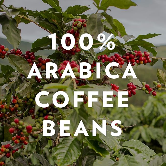 Community Coffee and Chicory Medium Dark Roast Premium Instant 7 Oz Jar, Full Body Rich Flavorful Taste, 100% Select Arabica Beans(Pack of 1)