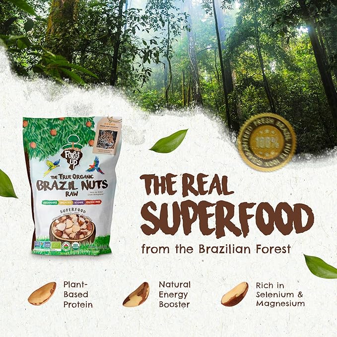 Snack The True Organic Broken Brazil Nuts 32 oz – Raw and Unsalted – Healthy-Rich in Vegetable Protein – Fresh, Vegan and Gluten Free – Forest Up