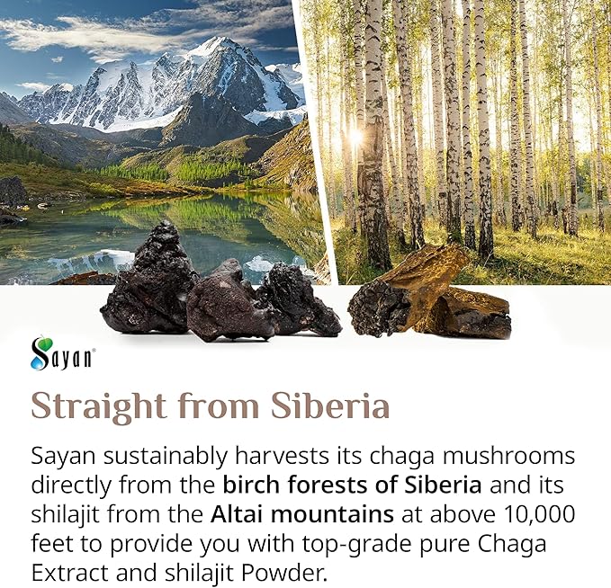 Sayan Siberian Chaga Mushroom Extract with Shilajit Powder (2 oz) ??Organic Antioxidant Tea ??Immune and Digestion System Support ??Fulvic Acid Supplement ??Energy & Clarity ??No Fillers