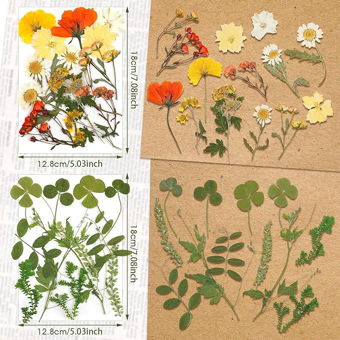 Nuanchu Pressed Flowers Bulk Dried Flower for Crafts, Dried Wildflowers Leave Natural with Tweezer for Resin Mold Scrapbooking Nail Soap Making DIY(Pretty Style,Mild Color)