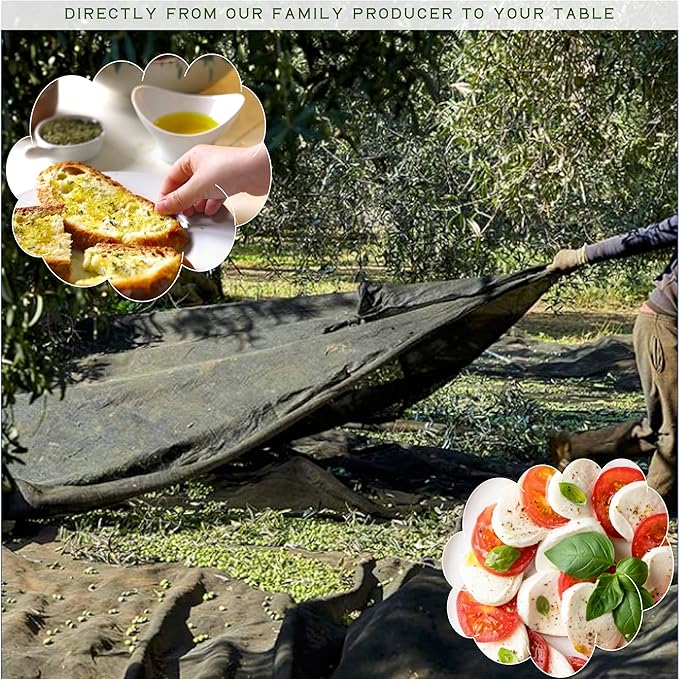 WellEatable Robust +1,200 mg/kg Polyphenol Rich Olio Italiano, New 2024-2025 Early Harvest Organic Extra Virgin Olive Oil from Italy, Lab Tested, Cold Extracted for Drinking and Finishing, 16.9 fl oz