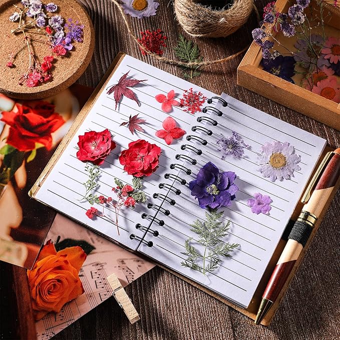 Nuanchu Pressed Flowers Bulk Dried Flower for Crafts, Dried Wildflowers Leave Natural with Tweezer for Resin Mold Scrapbooking Nail Soap Making DIY(Gentle Style,Lively Color)