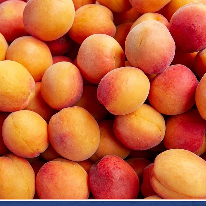 Traina Home Grown California Sun Dried Jumbo Ruby Royal Apricot Halves - SEASONAL/LIMITED - Healthy, No Sugar Added, Non GMO, Gluten Free, Kosher Certified, Vegan, Value Size (5 lbs)