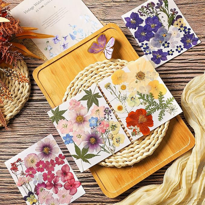 Nuanchu Pressed Flowers Bulk Dried Flower for Crafts, Dried Wildflowers Leave Natural with Tweezer for Resin Mold Scrapbooking Nail Soap Making DIY(Fashion Style,Trend Color)