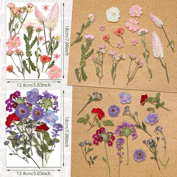 Nuanchu Pressed Flowers Bulk Dried Flower for Crafts, Dried Wildflowers Leave Natural with Tweezer for Resin Mold Scrapbooking Nail Soap Making DIY(Pretty Style,Mild Color)
