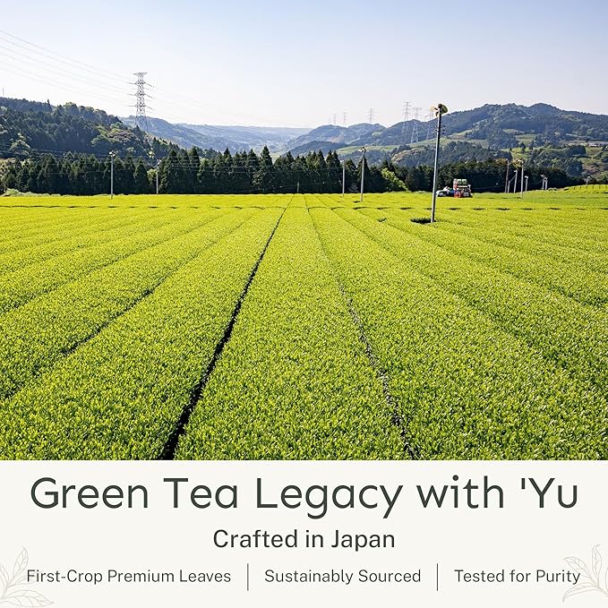 Yu Tea Organic Decaf Matcha Powder Ceremonial Grade | Rich in Antioxidants & L-Theanine, Low Caffeine | Unsweetened Grade A Japanese Green Tea Powder | Resealable Pouch, 2.65 oz, 50 Servings