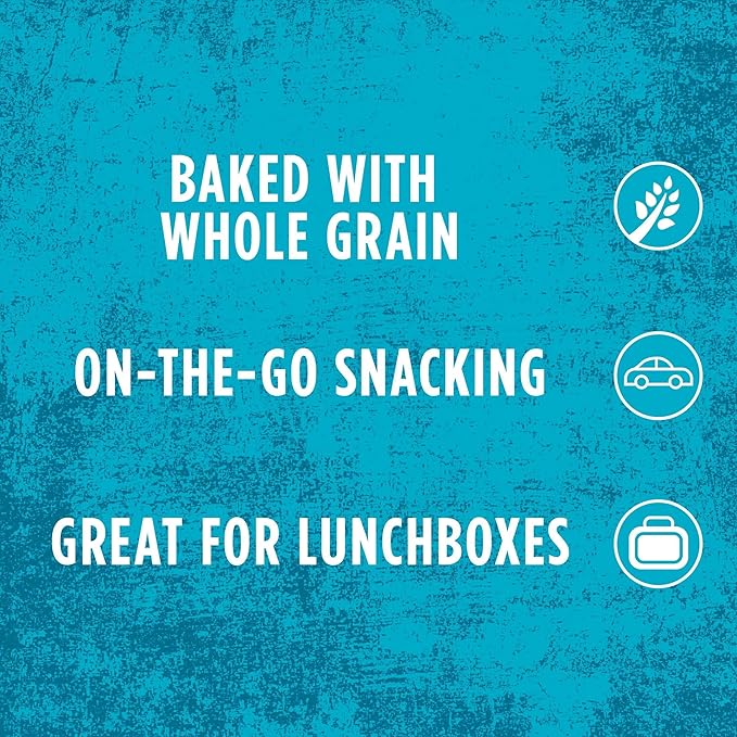 Kellogg's Scooby-Doo! Graham Cracker Snacks, Cinnamon, Made with Whole Grain, (1 Oz Bag), 40 Bags