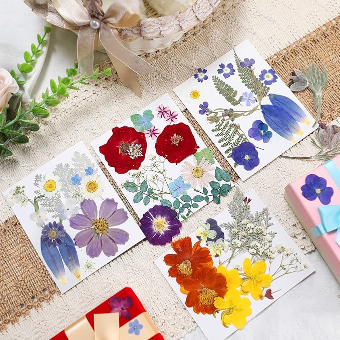 Nuanchu Pressed Flowers Bulk Dried Flower for Crafts, Dried Wildflowers Leave Natural with Tweezer for Resin Mold Scrapbooking Nail Soap Making DIY(Exquisite Style,Bright Color)