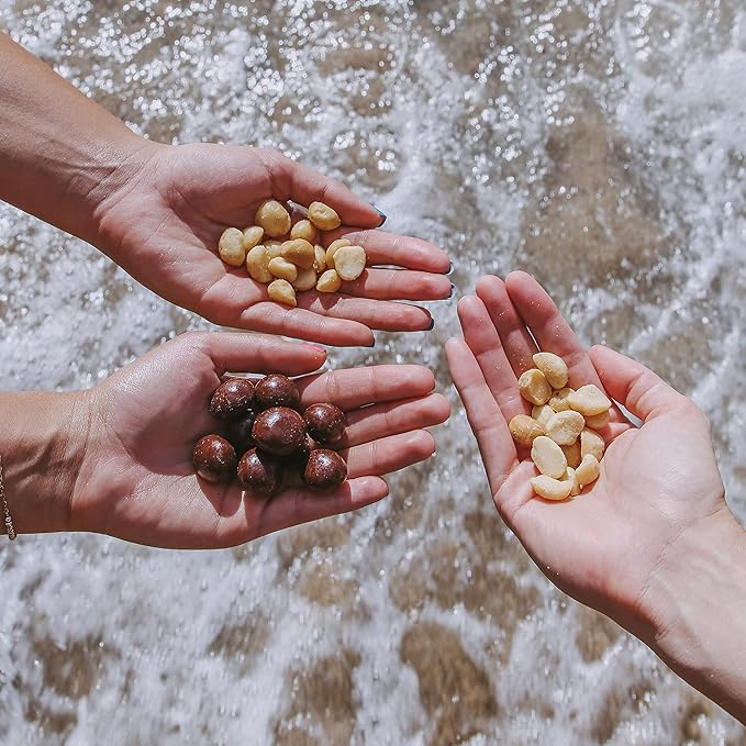 Island Harvest Organic Macadamia Nuts with Sea Salt - 100% Hawaiian Keto Friendly Nuts, All-Natural Non-GMO Macadamia Nuts Salted, Gluten-Free Dry Roasted Nuts High In Fiber; 8 Ounce (2-Pack)