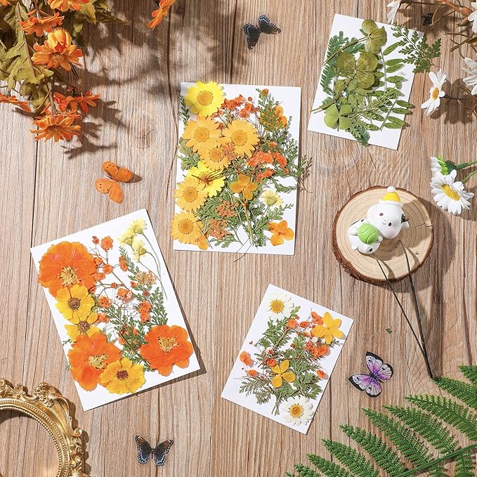 Nuanchu Pressed Flowers Bulk Dried Flower for Crafts, Dried Wildflowers Leave Natural with Tweezer for Resin Mold Scrapbooking Nail Soap Making DIY (Intense??Style,Orange Color)