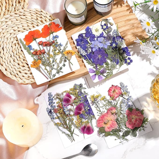 Nuanchu Pressed Flowers Bulk Dried Flower for Crafts, Dried Wildflowers Leave Natural with Tweezer for Resin Mold Scrapbooking Nail Soap Making DIY(Gorgeous Style,Multi Color)