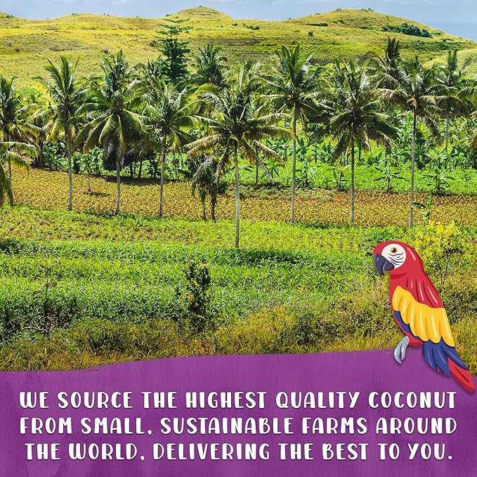 Curious Bird Extra Thick Coconut Chips - Unsweetened - Sulfite Free - 8 Ounces