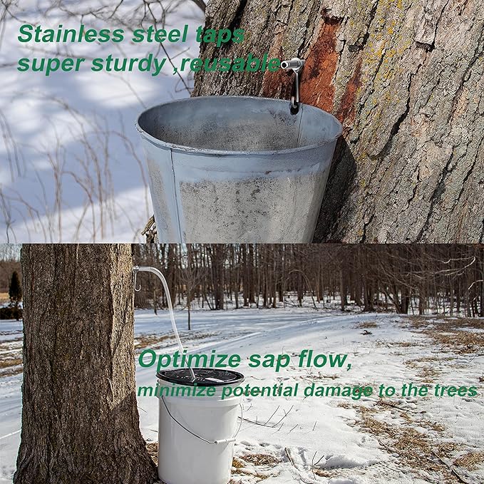Stainless Steel Maple Syrup Taps Kit, Spiles for Tapping Trees, 3 Spiles and Hooks With 1 Spile Cleaning Brush